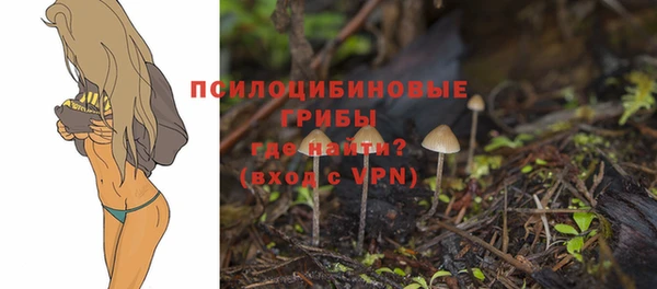 индика Аркадак