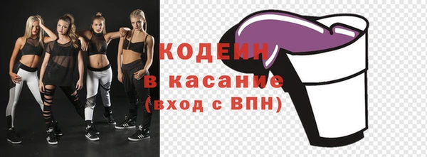 индика Аркадак