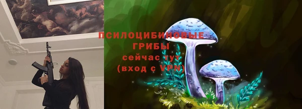 круглые Арсеньев