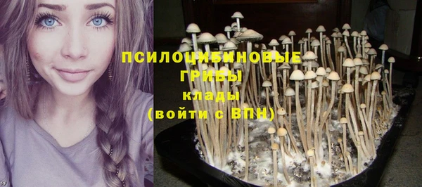 дживик Армянск