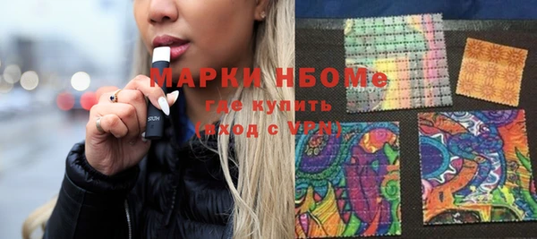 индика Алексин