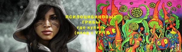 индика Аркадак