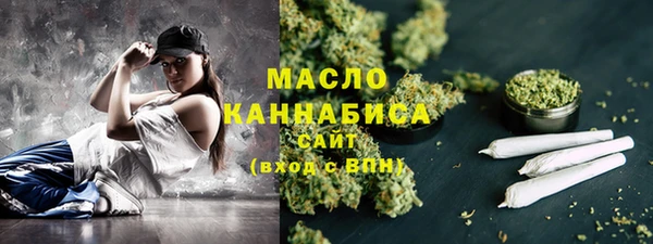 индика Аркадак