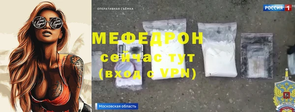 индика Аркадак