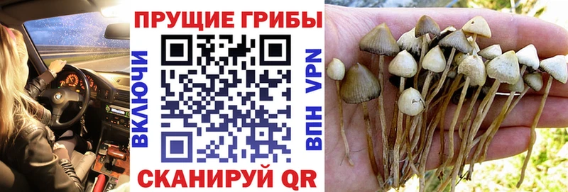 Галлюциногенные грибы GOLDEN TEACHER  Старый Крым 